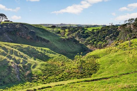 Photo of property in 55 Coster Road, Muriwai, 0881