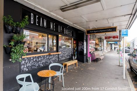 Photo of property in 17 Cornhill Street, North East Valley, Dunedin, 9010