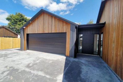 Photo of property in 59b Pharazyn Street, Feilding, 4702