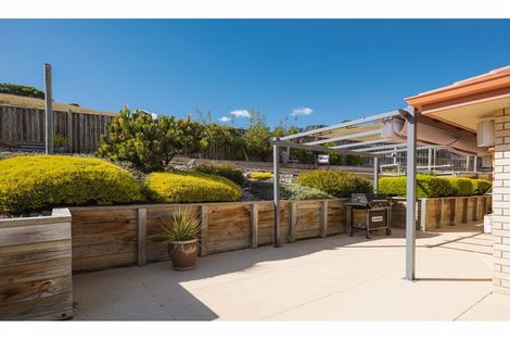 Photo of property in 61 Forest Park Drive, Witherlea, Blenheim, 7201