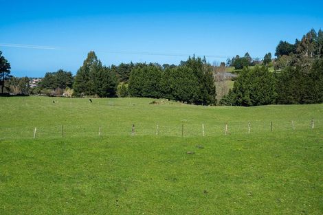 Photo of property in 93 Three Mile Hill Road, Halfway Bush, Dunedin, 9076