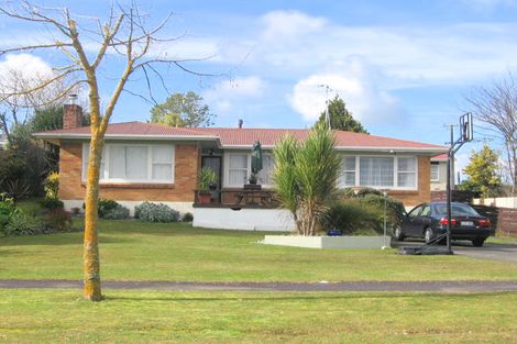 Photo of property in 163 Mahoe Street, Melville, Hamilton, 3206