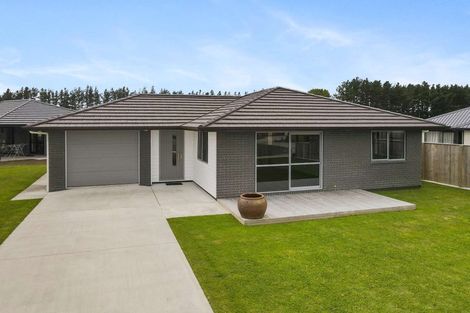 Photo of property in 35 Oldfield Lane, Marton, 4710