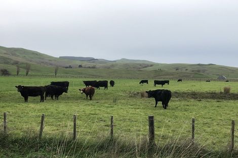 Photo of property in 65 Beach Road, Porangahau, 4293