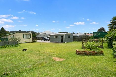 Photo of property in 25 Nettie Street, Te Kuiti, 3910