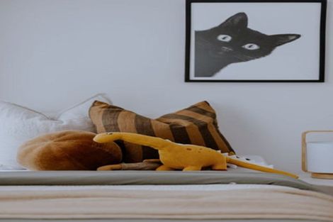 Photo of property in 37 Corunna Road, Milford, Auckland, 0620