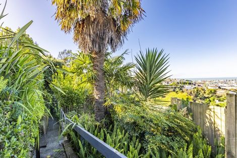 Photo of property in 19 Havelock Road, Hospital Hill, Napier, 4110