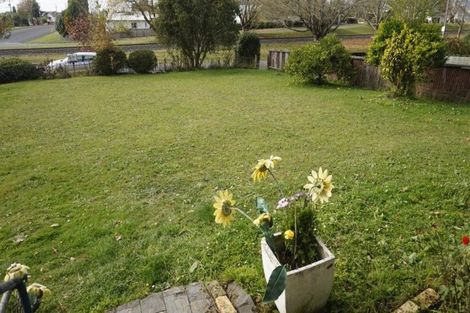 Photo of property in 50 Overdale Street, Putaruru, 3411