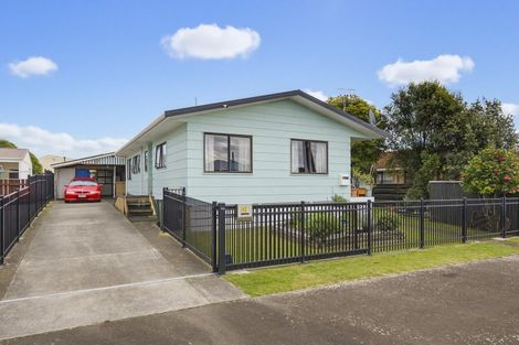 Photo of property in 13 Douglas Street, Levin, 5510