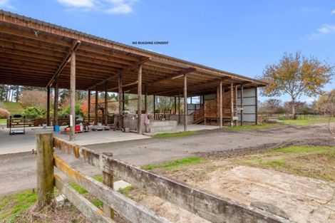 Photo of property in 131e Hogg Road, Rotoma, Whakatane, 3192