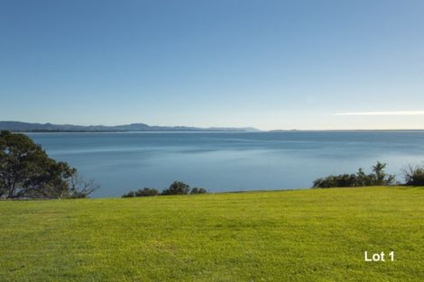 Photo of property in 333 Pahoia Road, Whakamarama, Tauranga, 3172