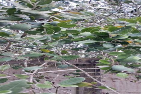 Photo of property in 20 Segedin Place, Glenfield, Auckland, 0629