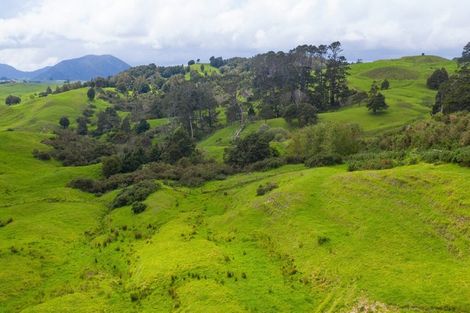 Photo of property in 229 Settlement Road, Kaiwaka, 0573