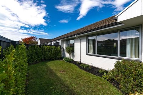 Photo of property in 69a Winchester Street, Merivale, Christchurch, 8014