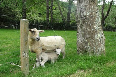 Photo of property in 102 Pakihi Road, Toatoa, Opotiki, 3197
