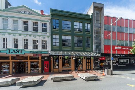 Photo of property in Arco House, 2/45 Cuba Street, Te Aro, Wellington, 6011