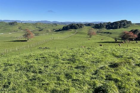 Photo of property in 80a Mangaotaki Road, Piopio, 3971