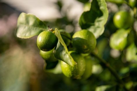 Photo of property in 137c Miramar Avenue, Miramar, Wellington, 6022