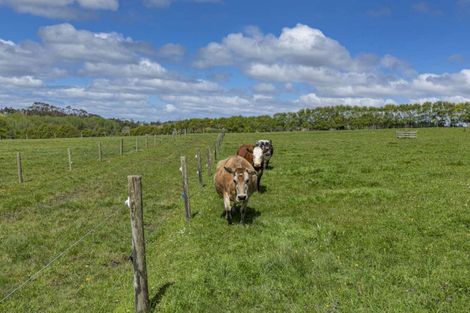 Photo of property in 219 Forestry Road, Waitoki, Kaukapakapa, 0871