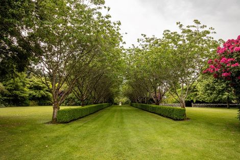 Photo of property in 201 Lochiel Branxholme Road, Lochiel, Winton, 9781