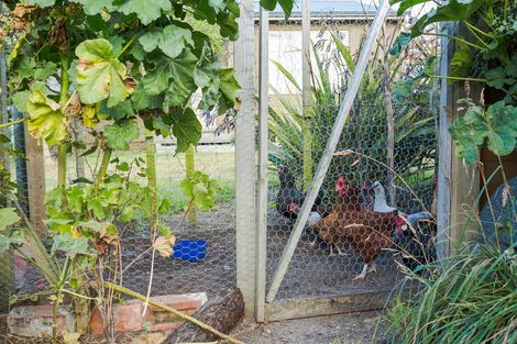 Photo of property in 17 Carnock Road, Harwood, Dunedin, 9077