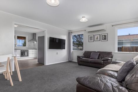 Photo of property in 8 Middlesex Street, Levin, 5510