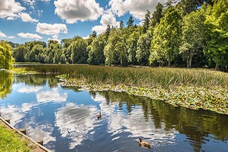 Photo of property in 3 Te Au Kaha Court, Cambridge, 3434