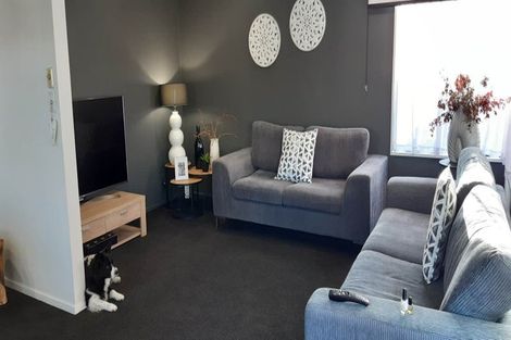 Photo of property in 22a Clutha Street, Alexandra, 9320