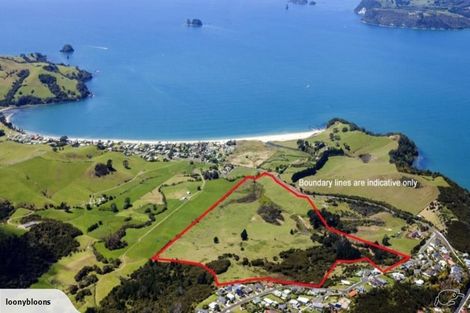 Photo of property in 7 Powhiri Place, Wharekaho, Whitianga, 3510