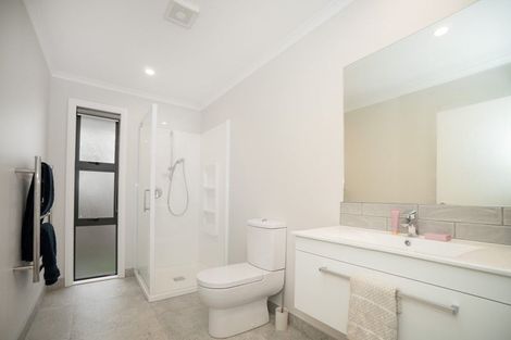Photo of property in 55a Ferguson Street, Awapuni, Palmerston North, 4412