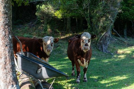 Photo of property in 73 Te Manu Road, Ngongotaha Valley, Rotorua, 3072