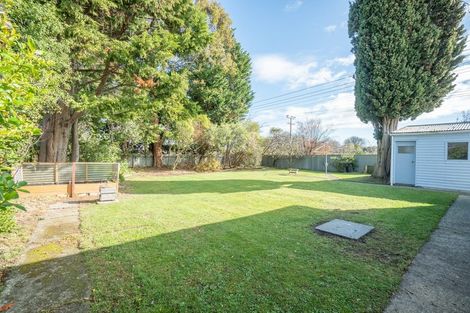 Photo of property in 17 Raymond Street, Bunnythorpe, Palmerston North, 4481