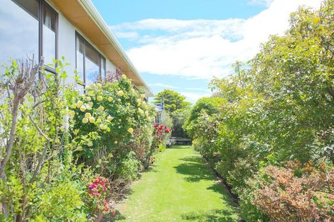 Photo of property in 46 Walker Street, Bluff, 9814