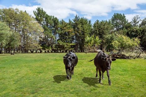 Photo of property in 299 Bidwills Cutting Road, Morison Bush, Greytown, 5794