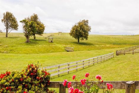 Photo of property in 361 Warrens Road, Marton, 4788