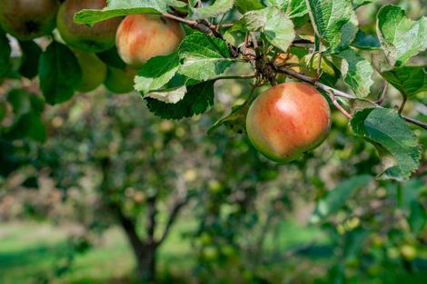 Photo of property in 8 Roches Lane, Athol, 9793