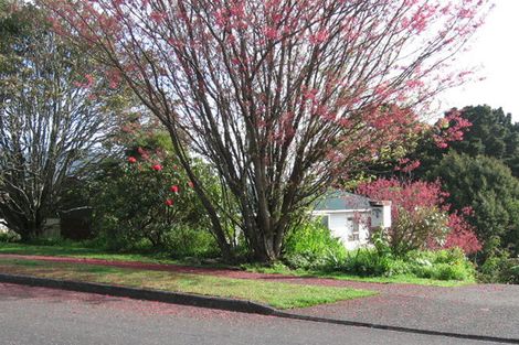 Photo of property in 8 Ascot Avenue, Te Kamo, Whangarei, 0112