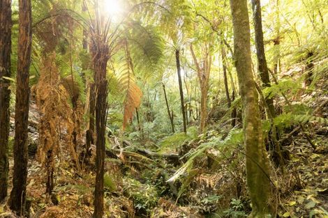 Photo of property in 795 Maungarangi Road, Paengaroa, 3189