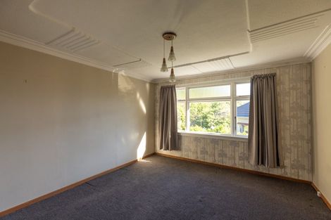 Photo of property in 114 Somerville Street, Andersons Bay, Dunedin, 9013