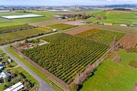 Photo of property in 47 Patutahi Road, Patutahi, Gisborne, 4072