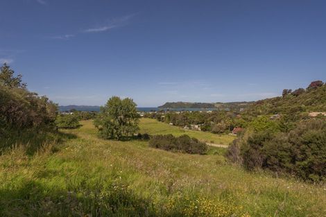 Photo of property in 32 Ara Mata, Cooks Beach, Whitianga, 3591