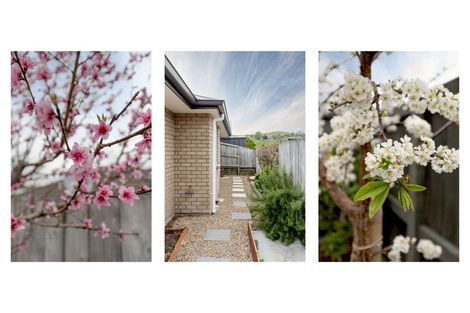 Photo of property in 3 Ibis Way, Welcome Bay, Tauranga, 3112