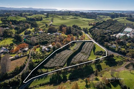 Photo of property in 394 Old Highway, Whakamarama, 3180