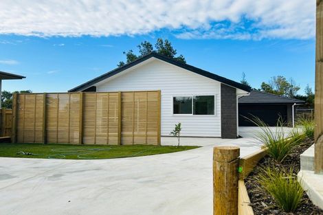 Photo of property in 26a Homelands Avenue, Feilding, 4702