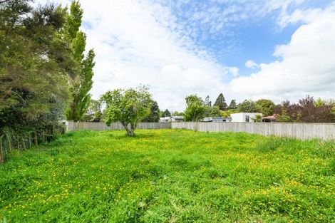 Photo of property in 74 Mill Street, Marton, 4710