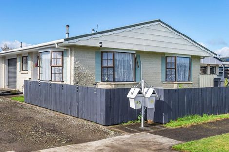 Photo of property in 102 Winchester Street, Levin, 5510