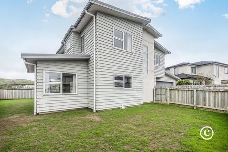 Photo of property in 224 Mark Avenue, Grenada Village, Wellington, 6037