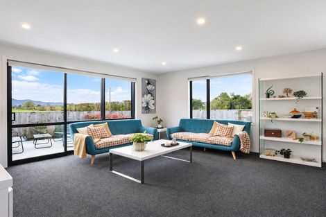 Photo of property in 150 Park Road, Horotiu, Hamilton, 3288