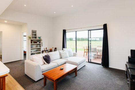 Photo of property in 212 Puke Puke Road, Himatangi, Foxton, 4891