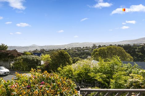 Photo of property in 32 Aytoun Street, Waverley, Dunedin, 9013